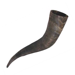 Cow Horns 50-60 cm