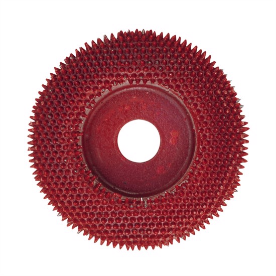 Rasp Plate - diameter: 50 mm