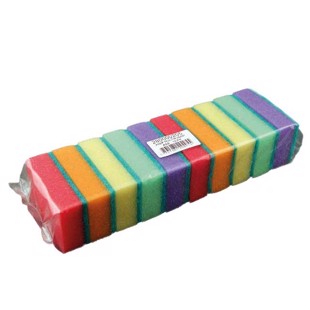 Sponge Scourers - 10 pc.