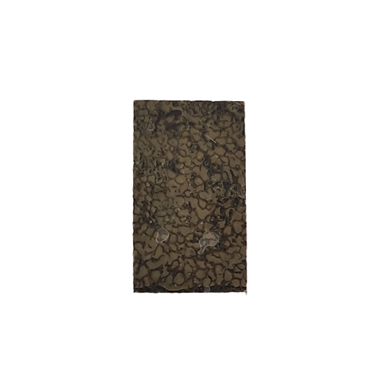 Dinosaur Bone 6,0 mm - Stabilized