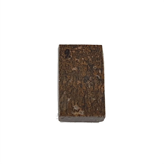 Dinosaur Bone 10,0 mm - Stabilized