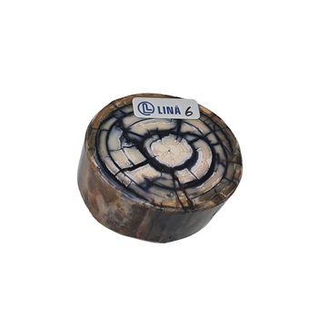 Mammoth Tusk - Stabilized