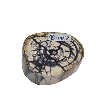 Mammoth Tusk - Stabilized