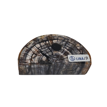 Mammoth Tusk - Stabilized