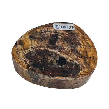 Mammoth Tusk - Stabilized