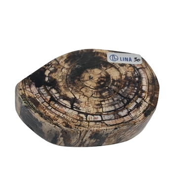 Mammoth Tusk - Stabilized
