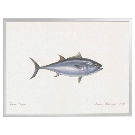 Lithograph with frame - Atlantic Tun