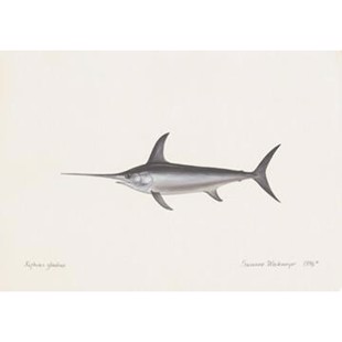 Swordfish Lithograph