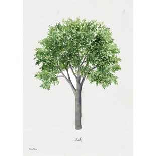 Ash Lithograph