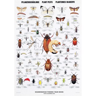 Plant Pests Poster