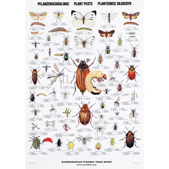 Plant Pests Poster - WITHOUT