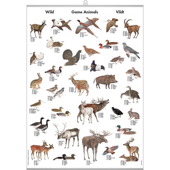 Game Animals Mini-Poster - WITH