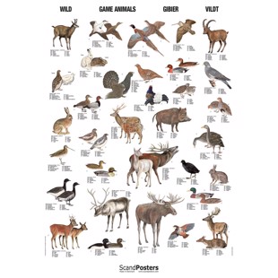 Game Animals Poster - Big - WITHOUT