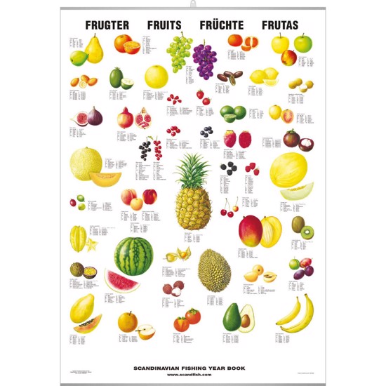 Fruit Poster - WITH