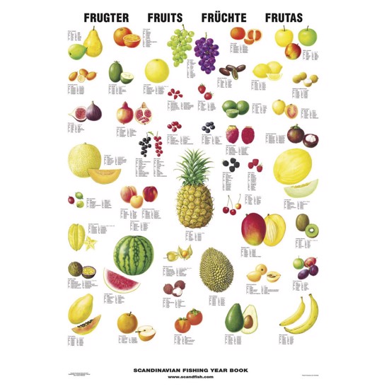 Fruit Poster - WITHOUT