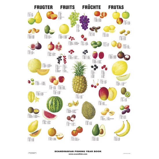 Fruit Poster