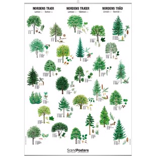 Tree Poster - WITH
