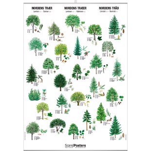 Tree Poster - WITH