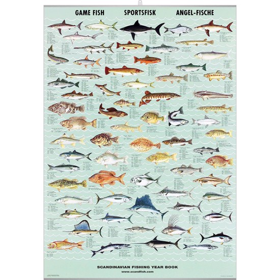 Game Fish Poster - WITH