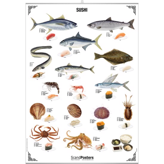 Sushi Poster - WITH