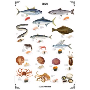 Sushi Poster