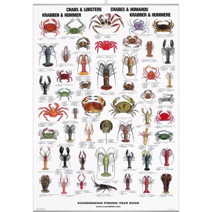 Crab and Lobster Poster - WITH