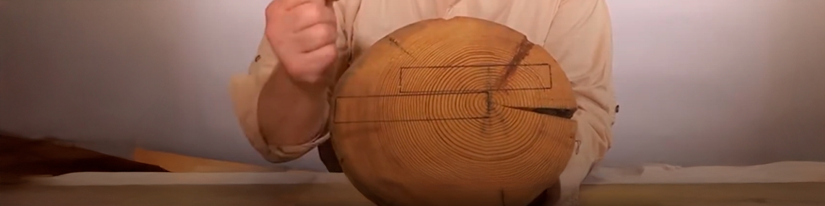 Weaknesses and cutting methods in European trees